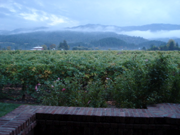 Winery Review: Tres Sabores, St. Helena, CA