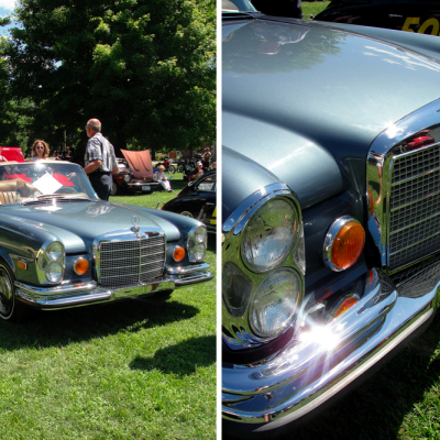 Stuart Little lives!