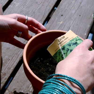 Sowing the seeds of love.