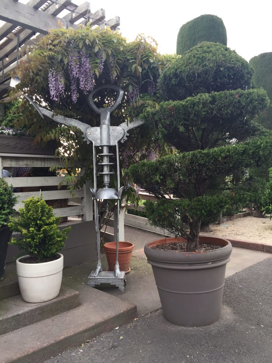 Don Giovannis Sonoma CA