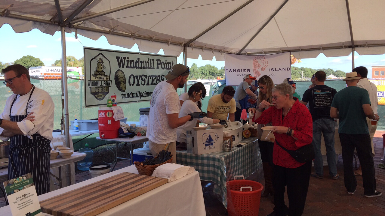 Shell Raiser's Shindig